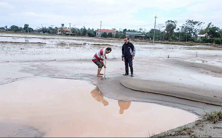 Nhiều diện tích đồng ruộng ở Triệu Phong (Quảng Trị)  bị cát bồi lấp sau lũ lụt.