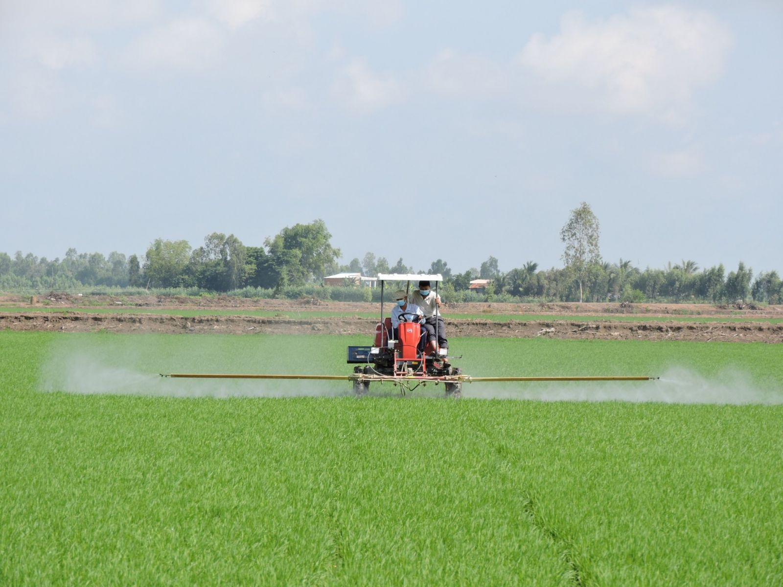 Đưa cơ giới hóa vào sản xuất lúa chất lượng cao, góp phần tăng năng suất cây trồng trên cùng một diện tích.