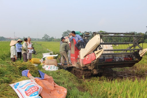 HTX nông nghiệp ở xã Vũ Di, huyện Vĩnh Tường đã chủ động ưa cơ giới hóa vào sản xuất, góp phần mang lại hiệu quả kinh tế cao.