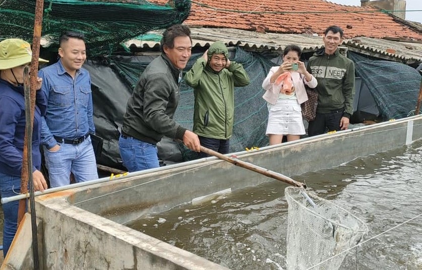 Thả tôm giống