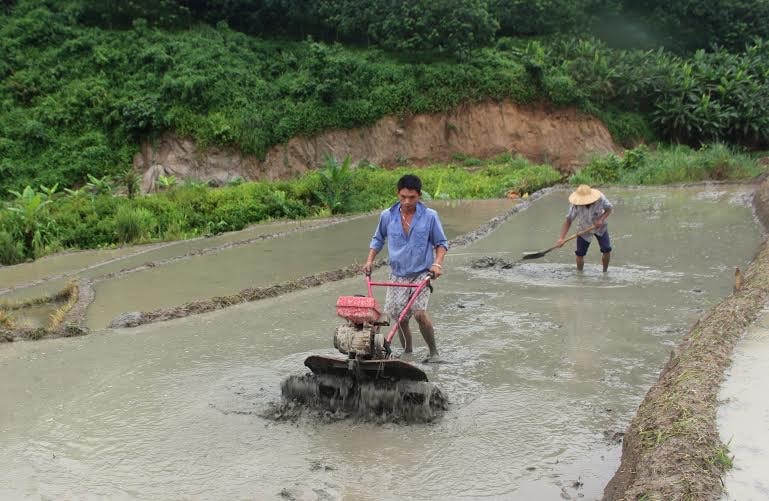 Áp dụng máy móc vào sản xuất giúp người nông dân giảm sức lao động, nâng cao năng suất. 