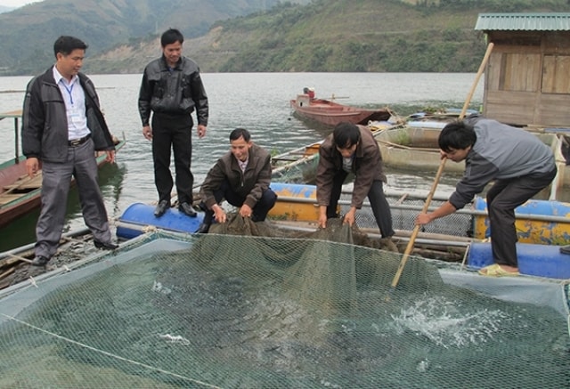 Các mô hình giảm nghèo ở Phù Yên đã mang lại nhiều hiệu quả, giúp người dân địa phương phát triển đời sống. Ảnh TL