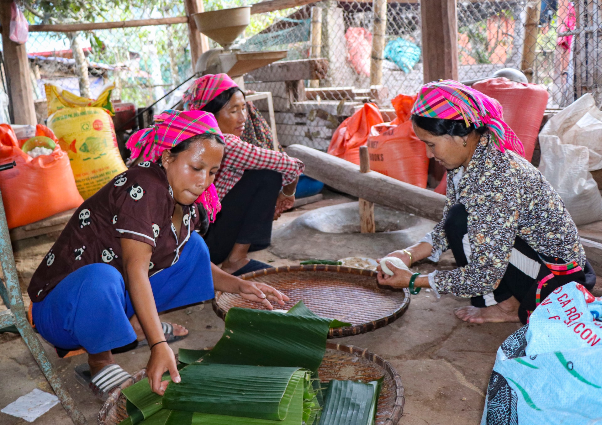 Người Hà Nhì gói bánh để cúng trong ngày tết cổ truyền. Người Hà Nhì gói bánh để cúng trong ngày tết cổ truyền.