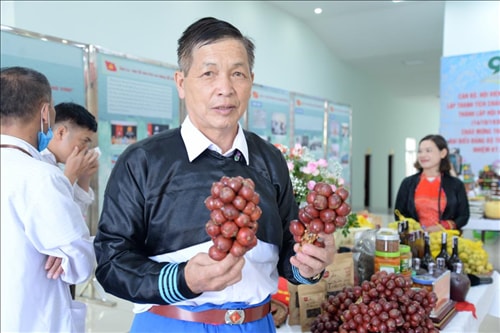 Sản phẩm thảo quả của gia đình ông Giàng A Chu và người dân trong xã đã có mặt trên thị trường, được khách hàng ưa chuộng