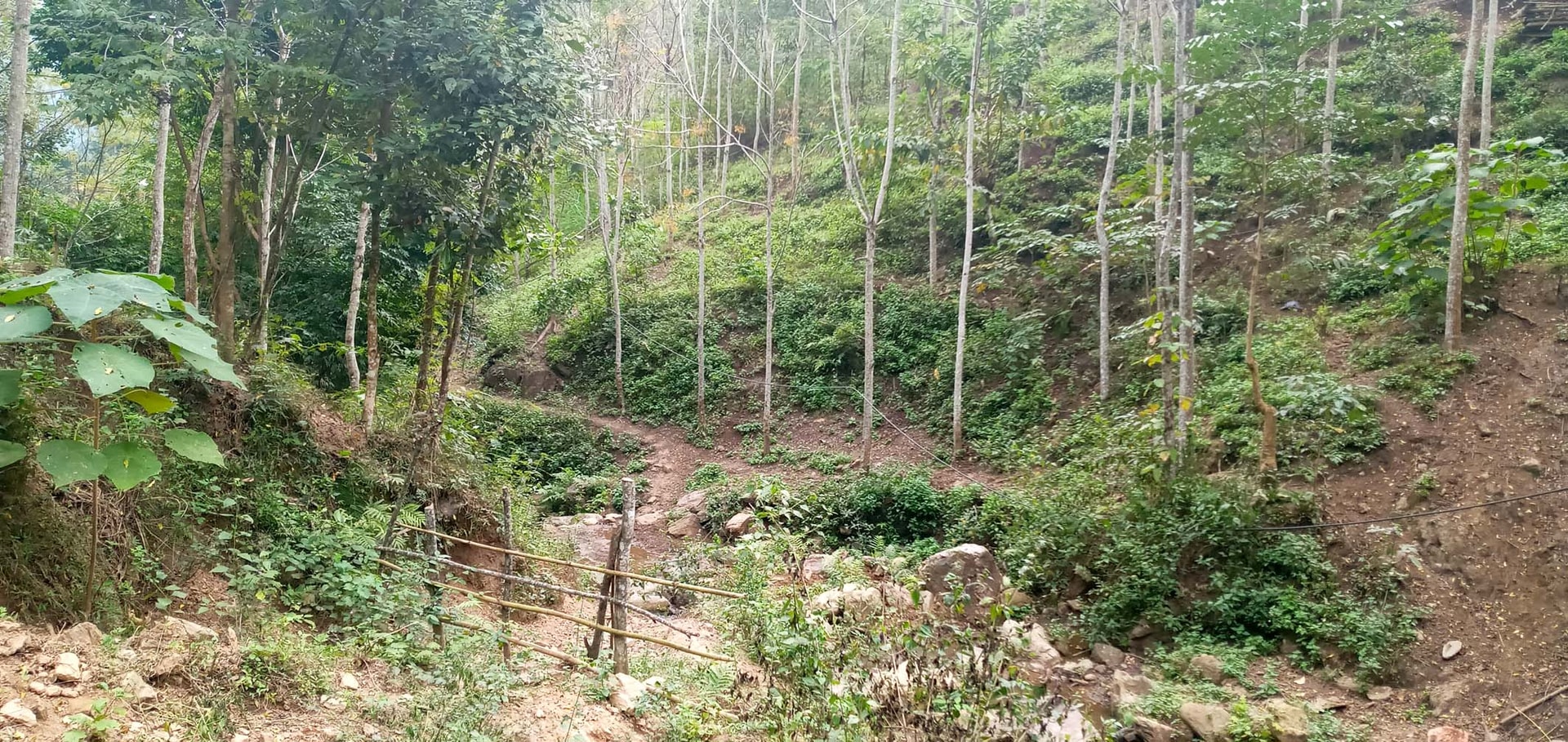Để có nước sinh hoạt, người dân ở bản Suối Phái, phải dùng nước kéo từ các khe suối trên núi về sử dụng. Để có nước sinh hoạt, người dân ở bản Suối Phái, phải dùng nước kéo từ các khe suối trên núi về sử dụng.