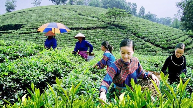 Đời sống kinh tế-xã hội vùng DTTS và miền núi ngày càng khởi sắc (Ảnh internet) Đời sống kinh tế-xã hội vùng DTTS và miền núi ngày càng khởi sắc (Ảnh internet)