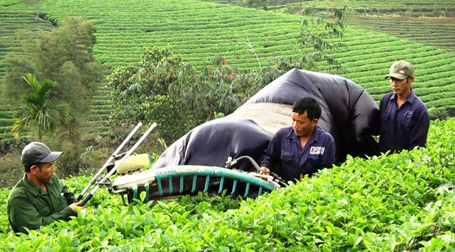 Kinh tế vườn đồi ngày càng phát triển