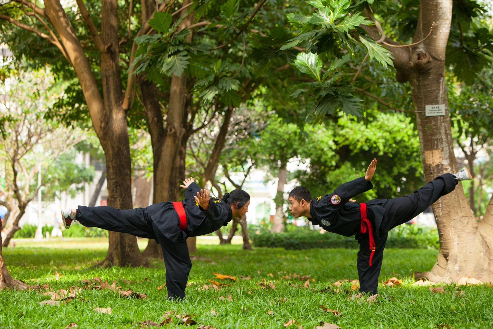 Võ lâm Tân Khánh Bà Trà được công nhận là Di sản văn hóa phi vật thể quốc gia 2