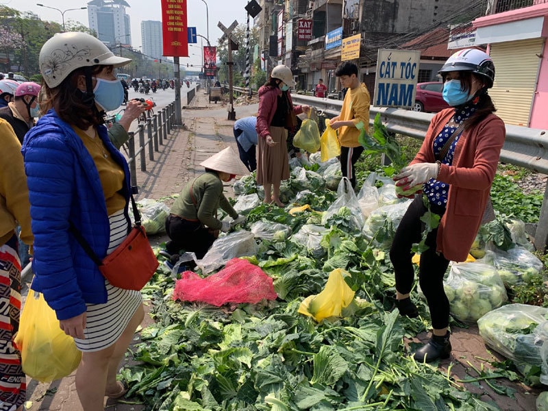 Người dân Hà Nội đến mua rau giải cứu