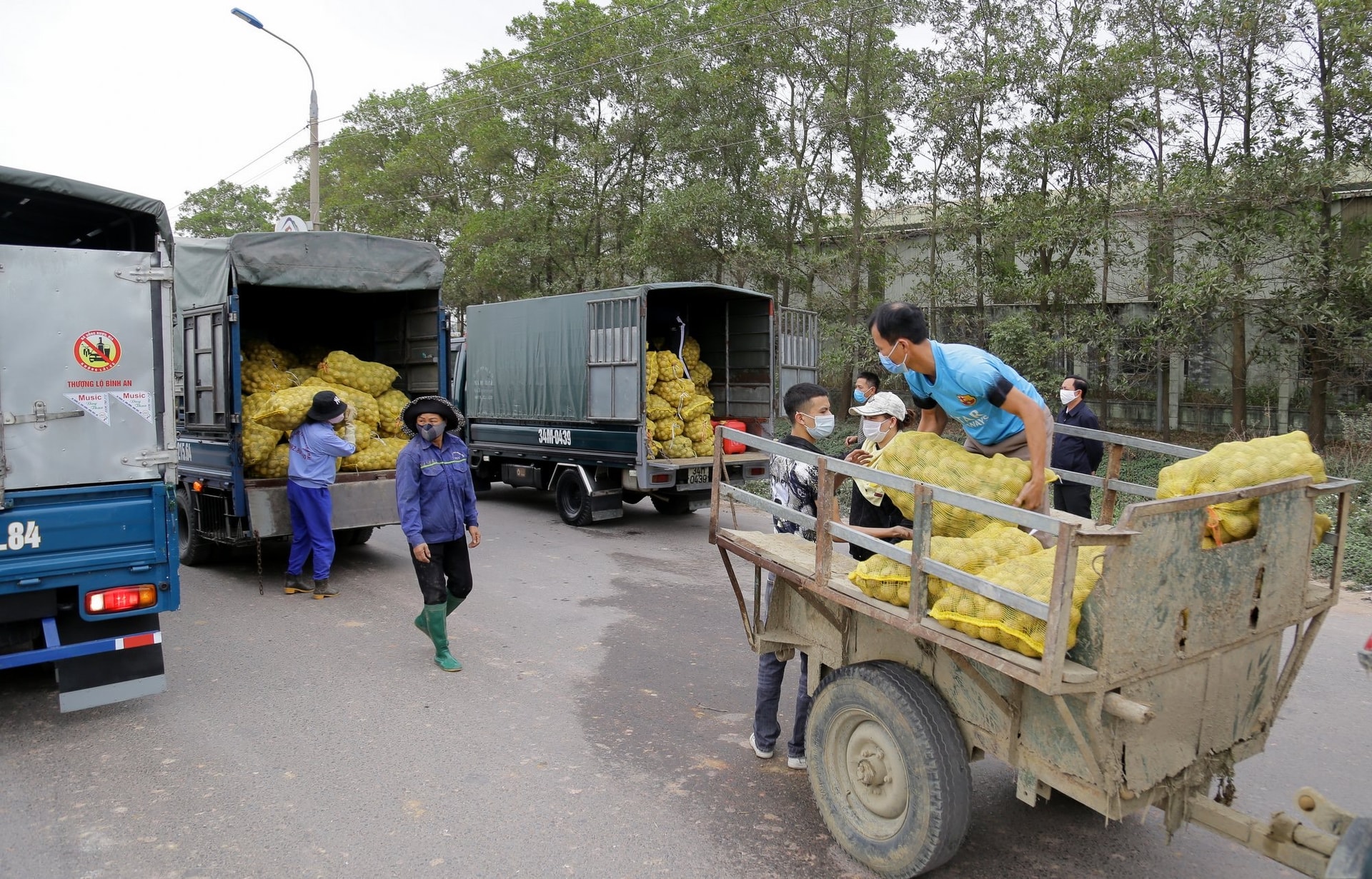 Nông sản tại tỉnh Quảng Ninh được nhiều đơn vị trên địa bàn tỉnh hỗ trợ tiêu thụ, giúp người nông dân thu hồi vốn, tái sản xuất nông nghiệp. Nông sản tại tỉnh Quảng Ninh được nhiều đơn vị trên địa bàn tỉnh hỗ trợ tiêu thụ, giúp người nông dân thu hồi vốn, tái sản xuất nông nghiệp.