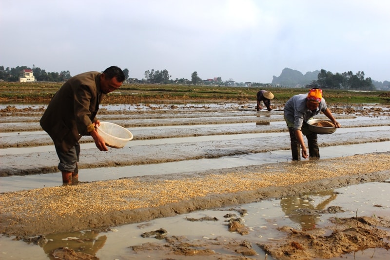 Vợ chồng ông Tuấn cần mẫn trước vụ sản xuất mới