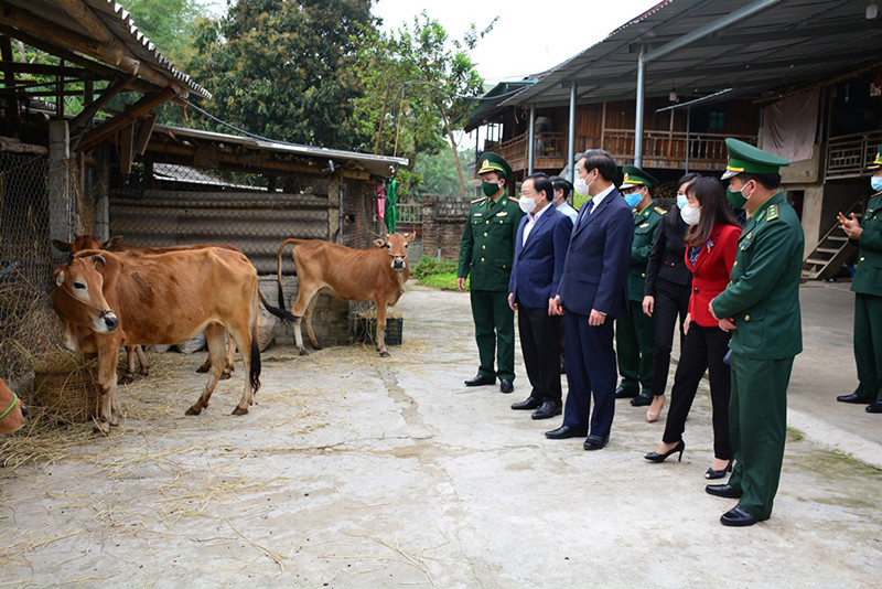 Các đồng chí lãnh đạo Tỉnh ủy, HĐND, UBND, Ủy ban MTTQ Việt Nam tỉnh Điện Biên và lãnh đạo Bộ Chỉ huy BĐBP Điện Biên trao bò giống tặng các gia đình nghèo biên giới. 