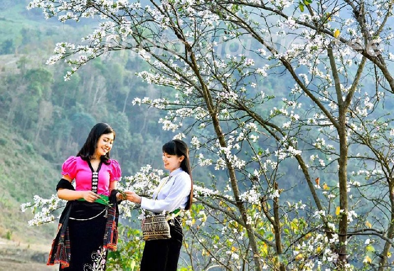 Chương trình giao lưu “Tiếng hát mùa Ban” sẽ được tổ chức trong tháng 3 này tại 