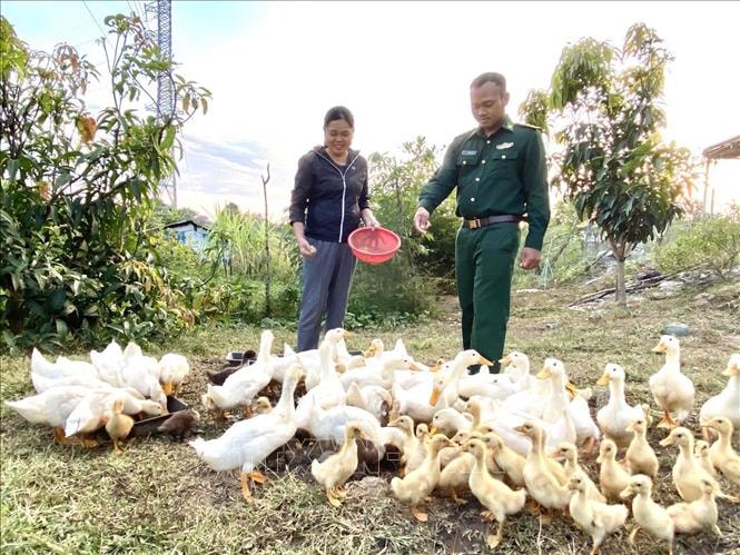 Cán bộ Đội công tác địa bàn, Đồn Biên phòng SêRêPốk hướng dẫn kỹ thuật chăn nuôi cho gia đình chị Hoàng Thị Thoa, xã Krông Na, huyện Buôn Đôn, tỉnh Đắk Lắk. Ảnh: TTXVN Phát