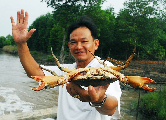 Giới thiệu đặc sản cua Năm Căn