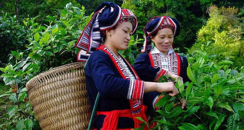 Phụ nữ DTTS trên cả nước nỗ lực vượt qua khó khăn, thay đổi cuộc sống của mình, đạt được những thành tựu đáng ghi nhận. 