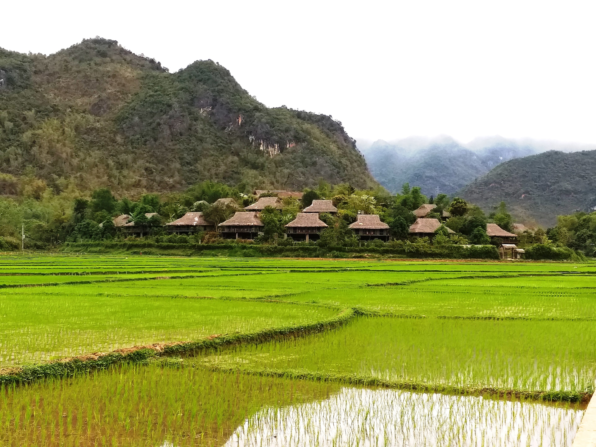 Bản của đồng bào Thái Tây Bắc, không gian sinh thành và diễn xướng những bài hát ru. 