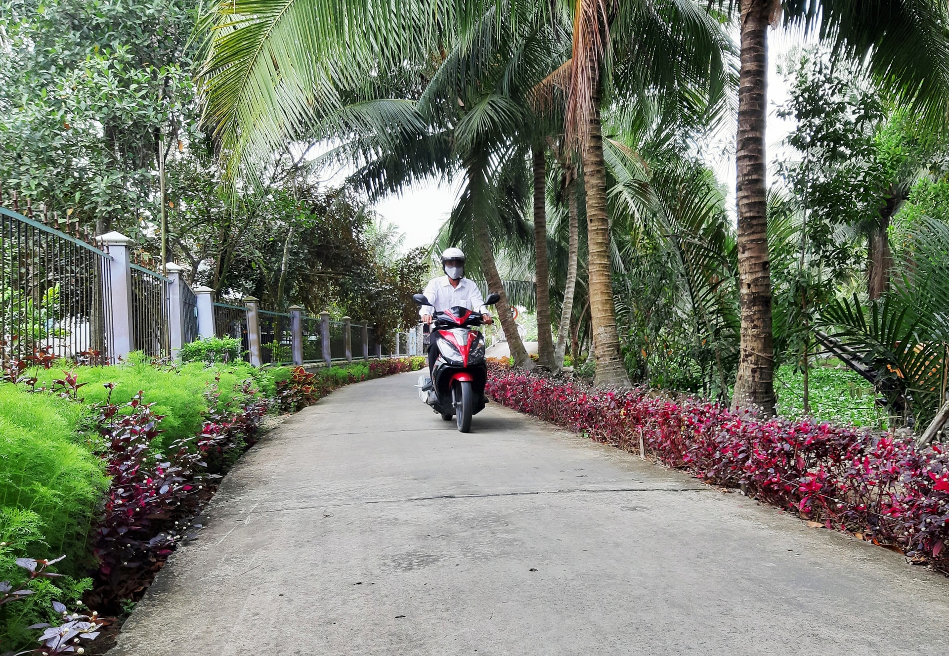 Từ nguồn vốn Chương trình 135, cơ sở hạ tầng nông thôn ở Sóc Trăng đươc đầu tư xây dựng khang trang Từ nguồn vốn Chương trình 135, cơ sở hạ tầng nông thôn ở Sóc Trăng được đầu tư xây dựng khang trang