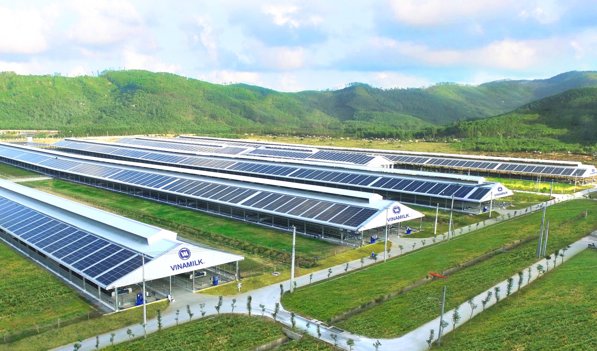 Trang trại Vinamilk Quảng Ngãi đã hoàn thiện và đưa vào hoạt động hệ thống năng lượng mặt trời 