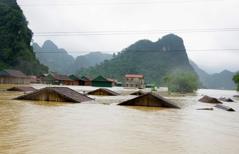 Ảnh minh họa Ảnh minh họa