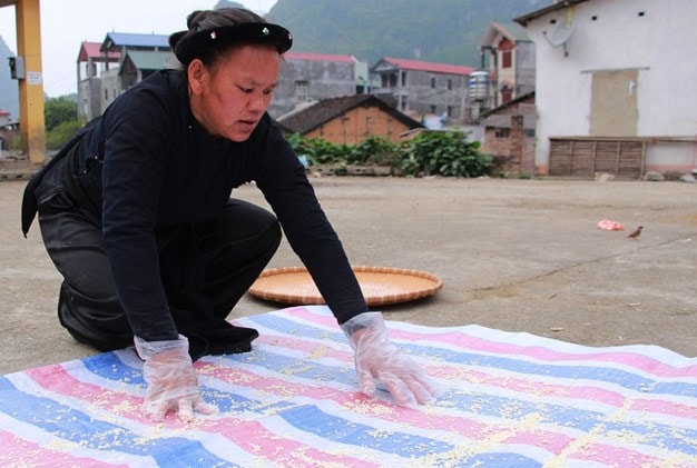 Xôi chín, dỡ ra để nguội, trộn với bột ngô sau đó đem phơi. Xôi chín, dỡ ra để nguội, trộn với bột ngô sau đó đem phơi.