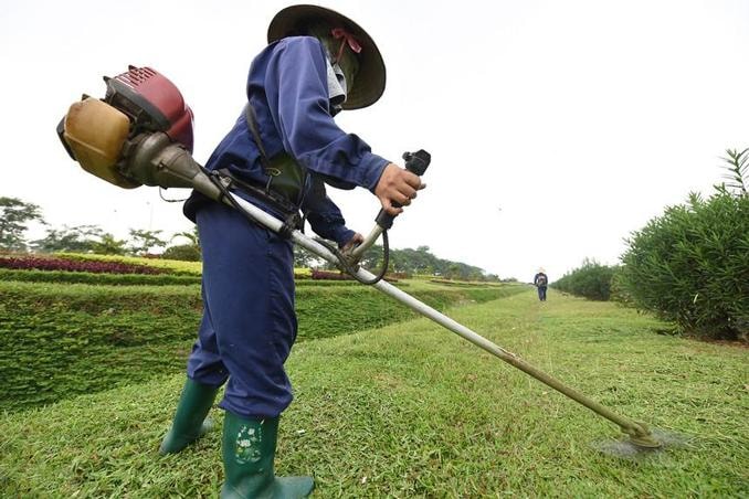Nông dân sử dụng máy cắt cỏ cần trang bị đầy đủ các đồ bảo hộ lao động nhằm bảo đảm an toàn khi sử dụng máy, 