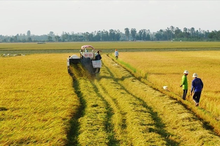 Có được xây nhà tạm trên đất nông nghiệp không? Ảnh: P.H Có được xây nhà tạm trên đất nông nghiệp không? Ảnh: P.H