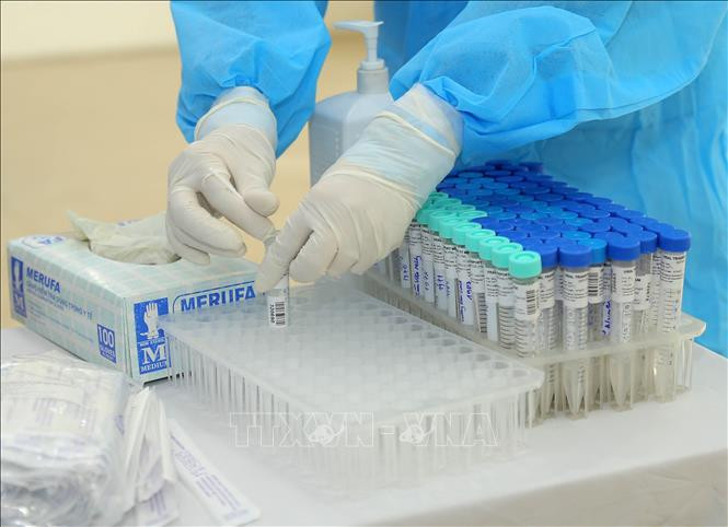 Xét nghiệm sàng lọc virus SARS-CoV-2. Ảnh: TTXVN Xét nghiệm sàng lọc virus SARS-CoV-2. Ảnh: TTXVN
