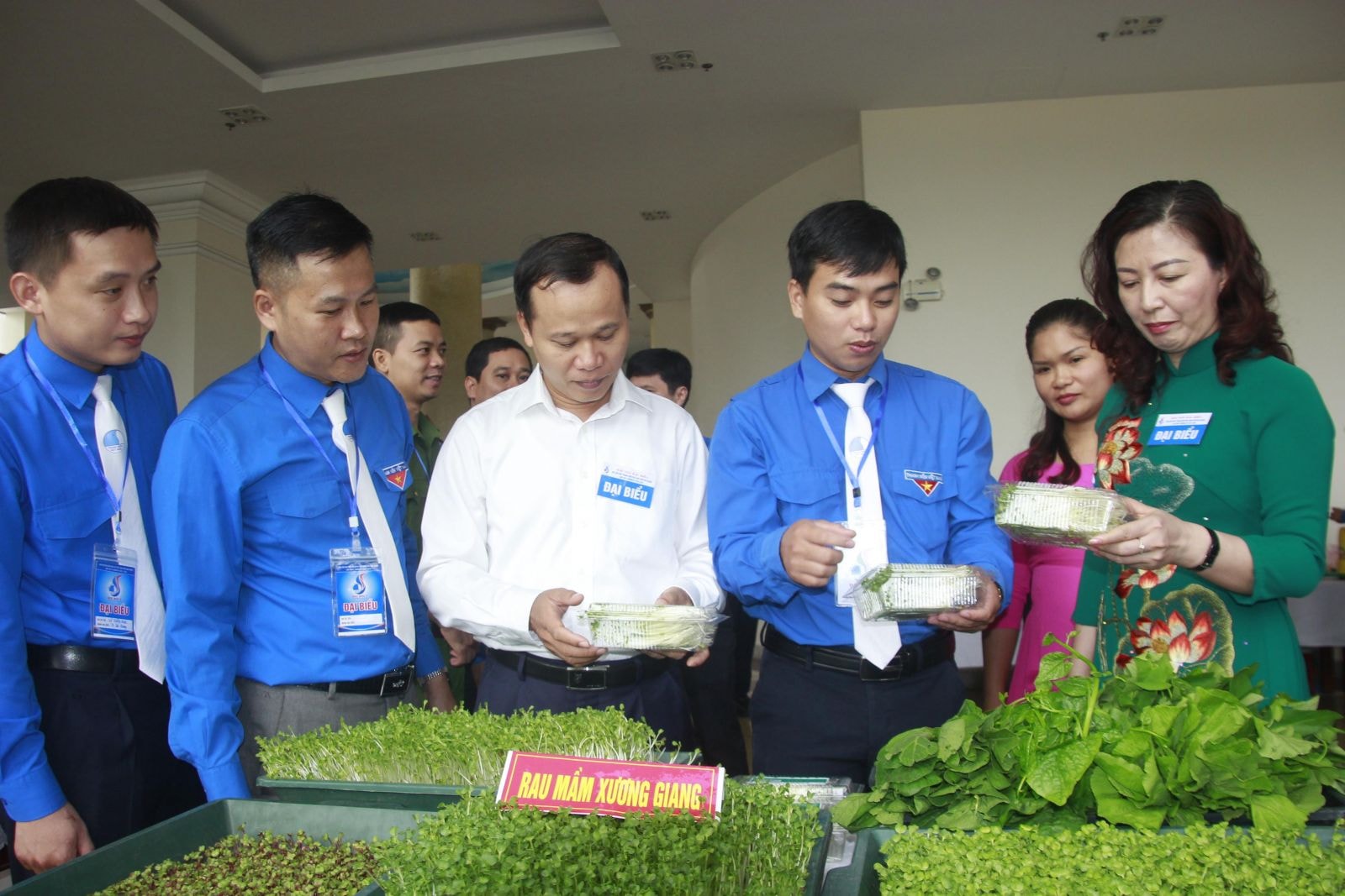 Các chính sách hộ trợ cần có tính cởi mởi hơn để thúc đẩy các mô hình HTX thanh niên phát triển. Các chính sách hỗ trợ cần có tính cởi mởi hơn để thúc đẩy các mô hình HTX thanh niên phát triển.