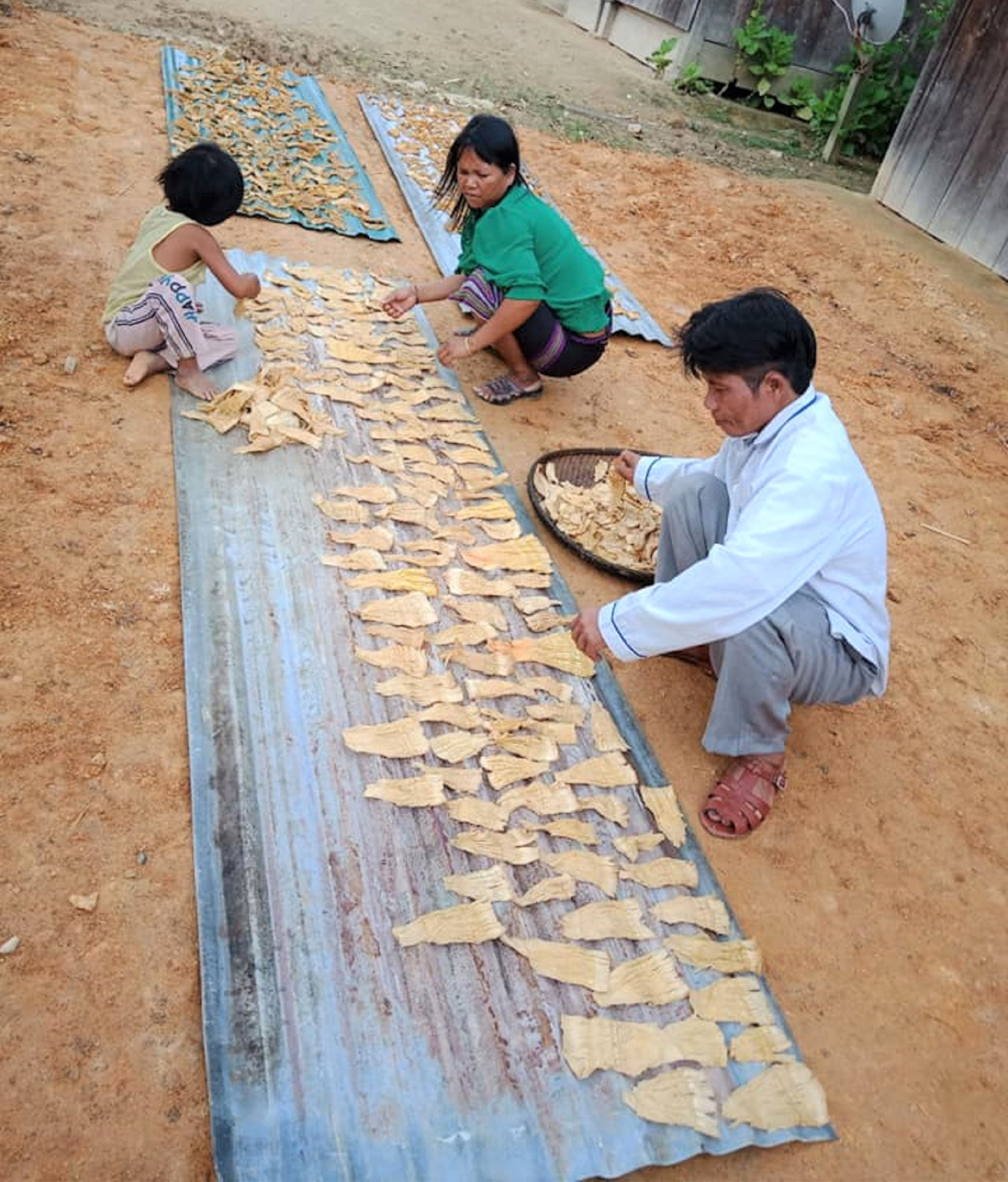 Vợ chồng chị C’Lâu Thị Giáp ở xã Lăng chuẩn bị những cân măng rừng và vài mớ rau nhà trồng được để mang ra chợ bán. Vợ chồng chị C’Lâu Thị Giáp ở xã Lăng chuẩn bị những cân măng rừng và vài mớ rau nhà trồng được để mang ra chợ bán.