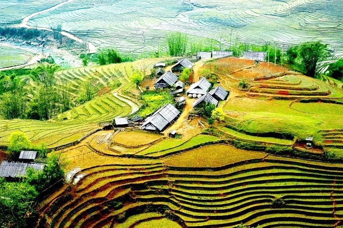 Ảnh minh họa