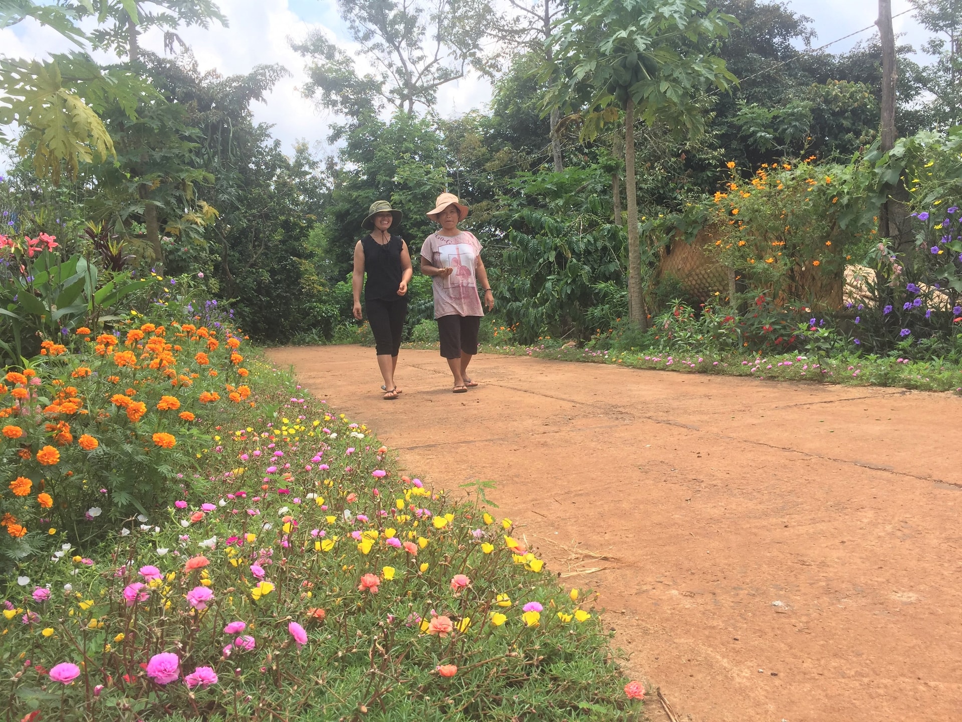 Hầu hết các tuyến đường liên thôn tại xã Ea Tul đều được trồng các loại hoa. Hầu hết các tuyến đường liên thôn tại xã Ea Tul đều được trồng các loại hoa.