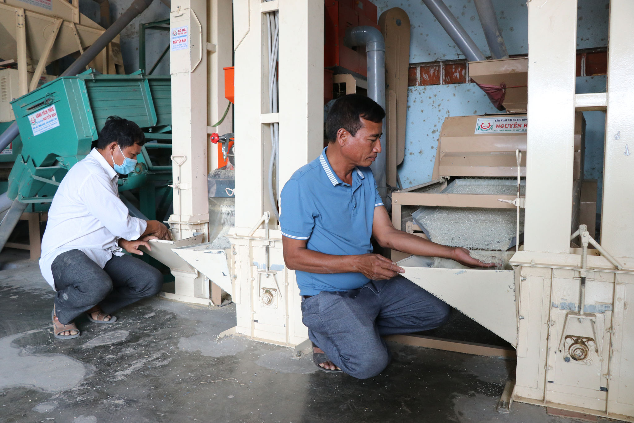 Quy trình sàng lọc lúa giống và sản xuất gạo chất lượng cao tại Nhà máy chế biến lúa gạo HTX Nông nghiệp  Chư A Thai.