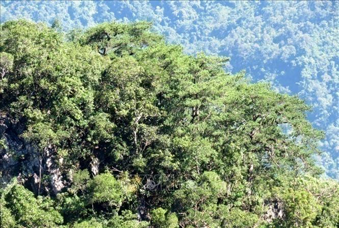 Khu bảo tồn thiên nhiên Pù Luông. Ảnh: TTXVN phát