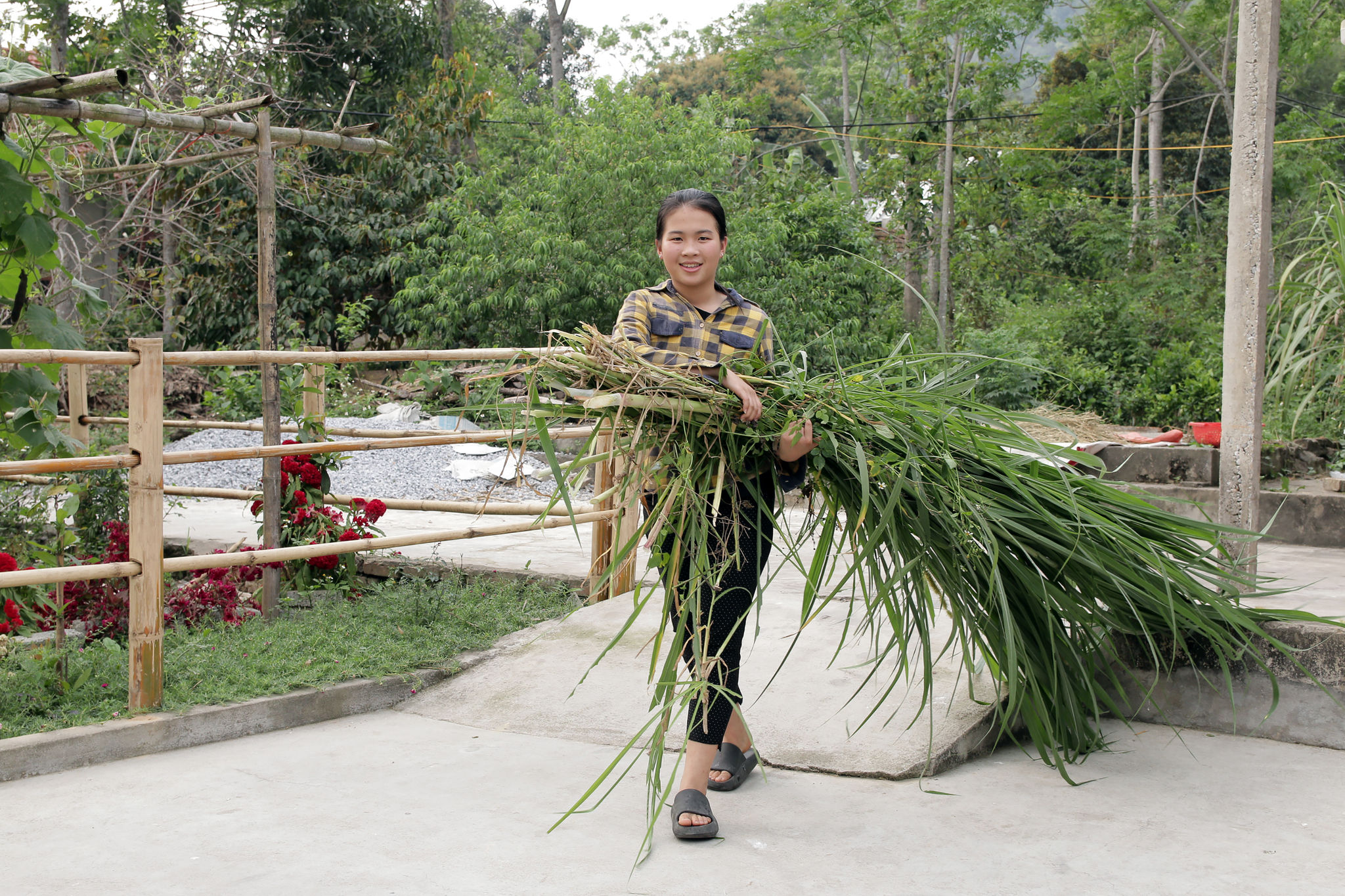 5.	Ngoài thời gian dành cho học tập, Nguyễn Thị Hoài Linh còn phụ giúp bố mẹ việc nhà. 