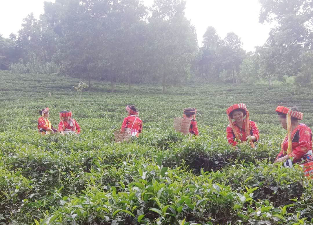 Các địa phương cần phát triển sản phẩm OCOP dựa trên đặc trưng của địa phương Các địa phương cần phát triển sản phẩm OCOP dựa trên đặc trưng vùng miền