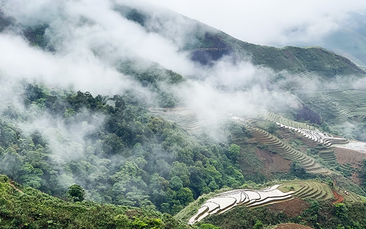 Một góc Tà Xùa, điểm đến “săn mây” ưa thích của đông đảo khách du lịch Một góc Tà Xùa, điểm đến “săn mây” ưa thích của đông đảo khách du lịch