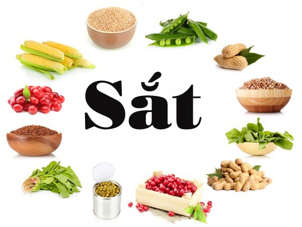 Giải pháp cho người thiếu máu 1