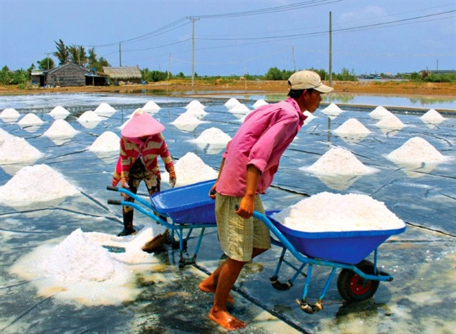 Diêm dân Ba Tri đang lao động trên các ruộng muối