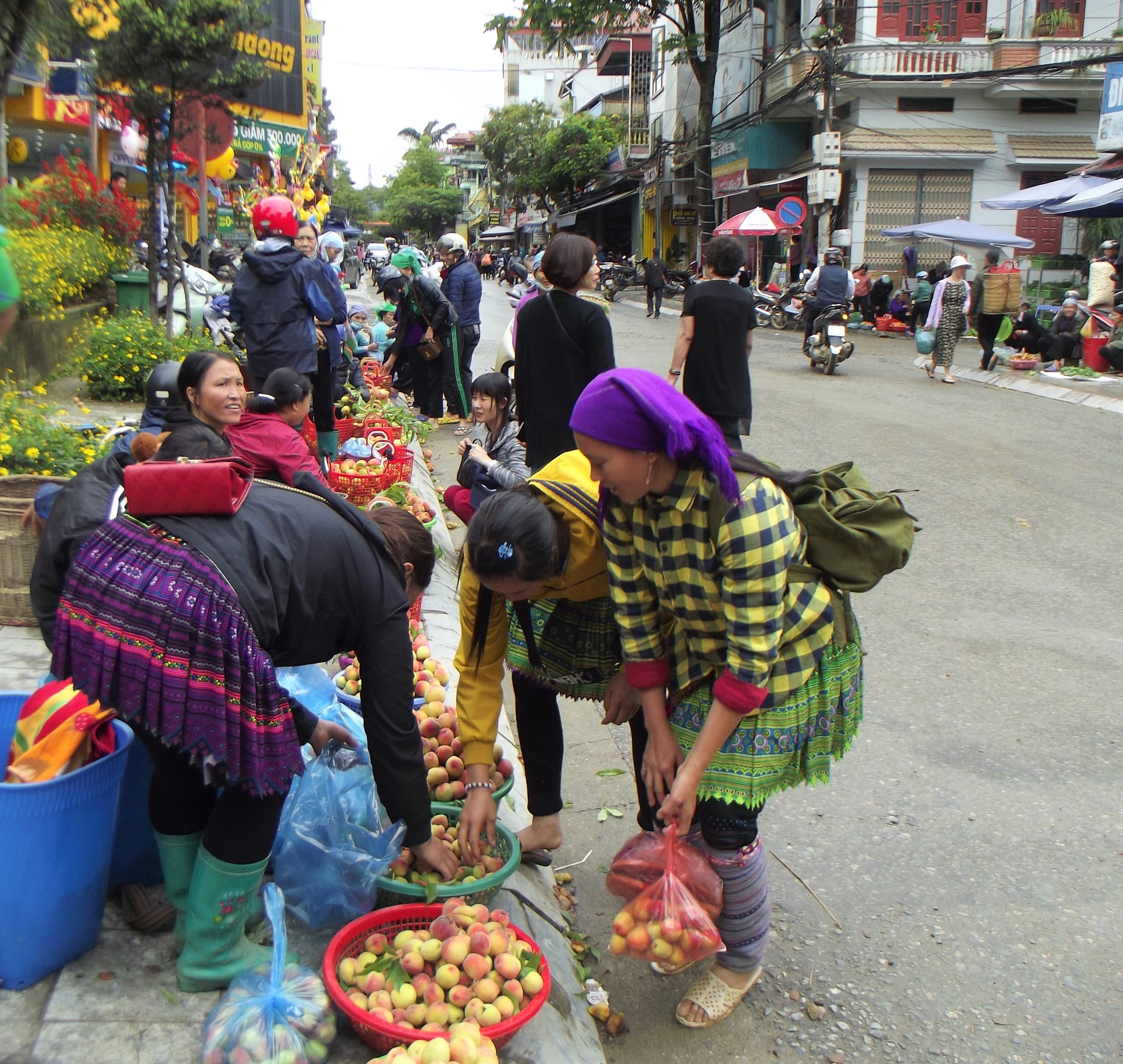 Không chỉ khách du lịch mà bà con nông dân ở Bắc Hà cũng háo hức đi chợ để mua đào.