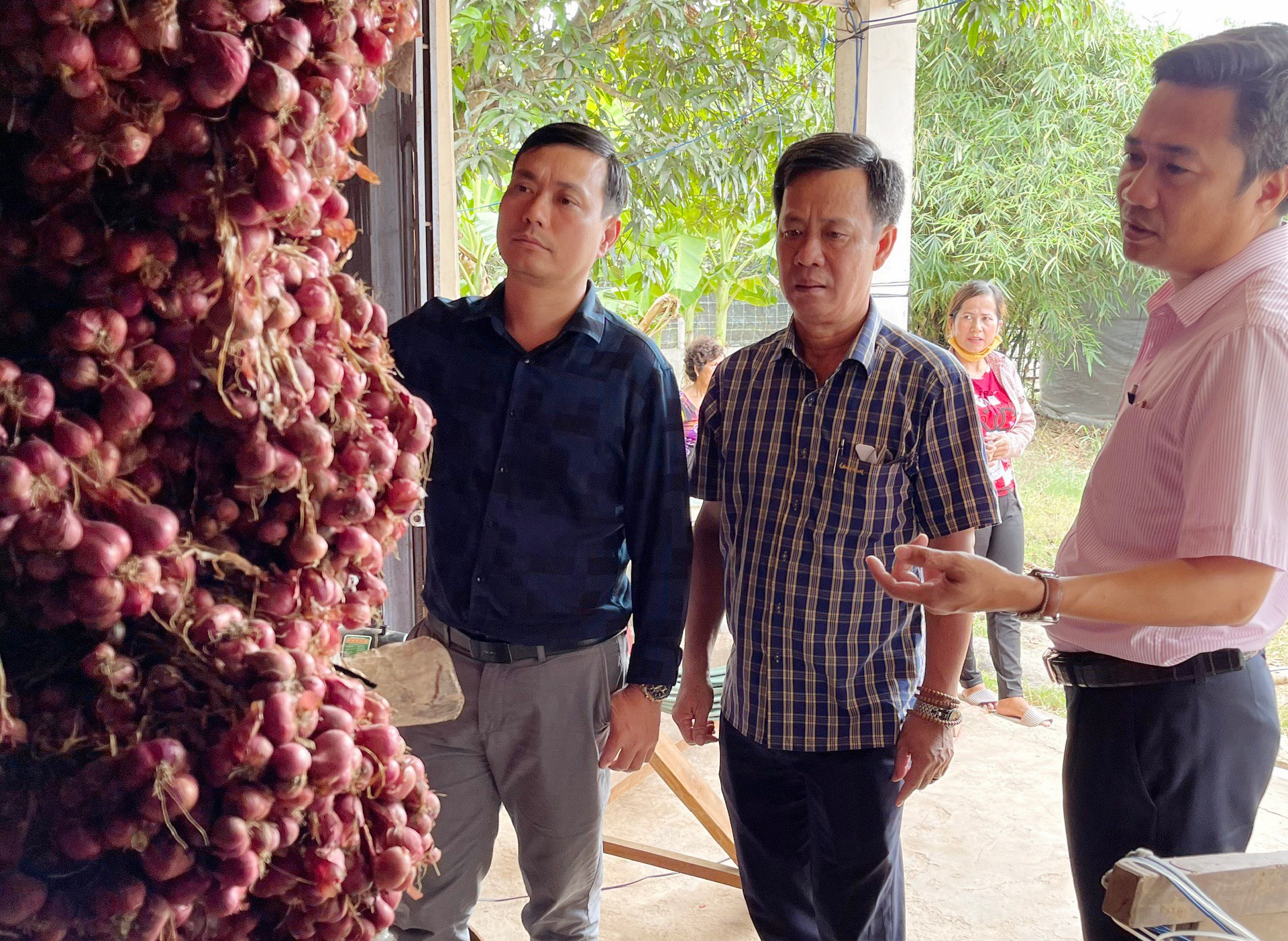 Lãnh đạo Chi nhánh NHCSXH Sóc Trăng trực tiếp về địa phương để có phương án hỗ trợ tối ưu cho người trồng hành tím Lãnh đạo Chi nhánh NHCSXH Sóc Trăng trực tiếp về địa phương để có phương án hỗ trợ tối ưu cho người trồng hành tím