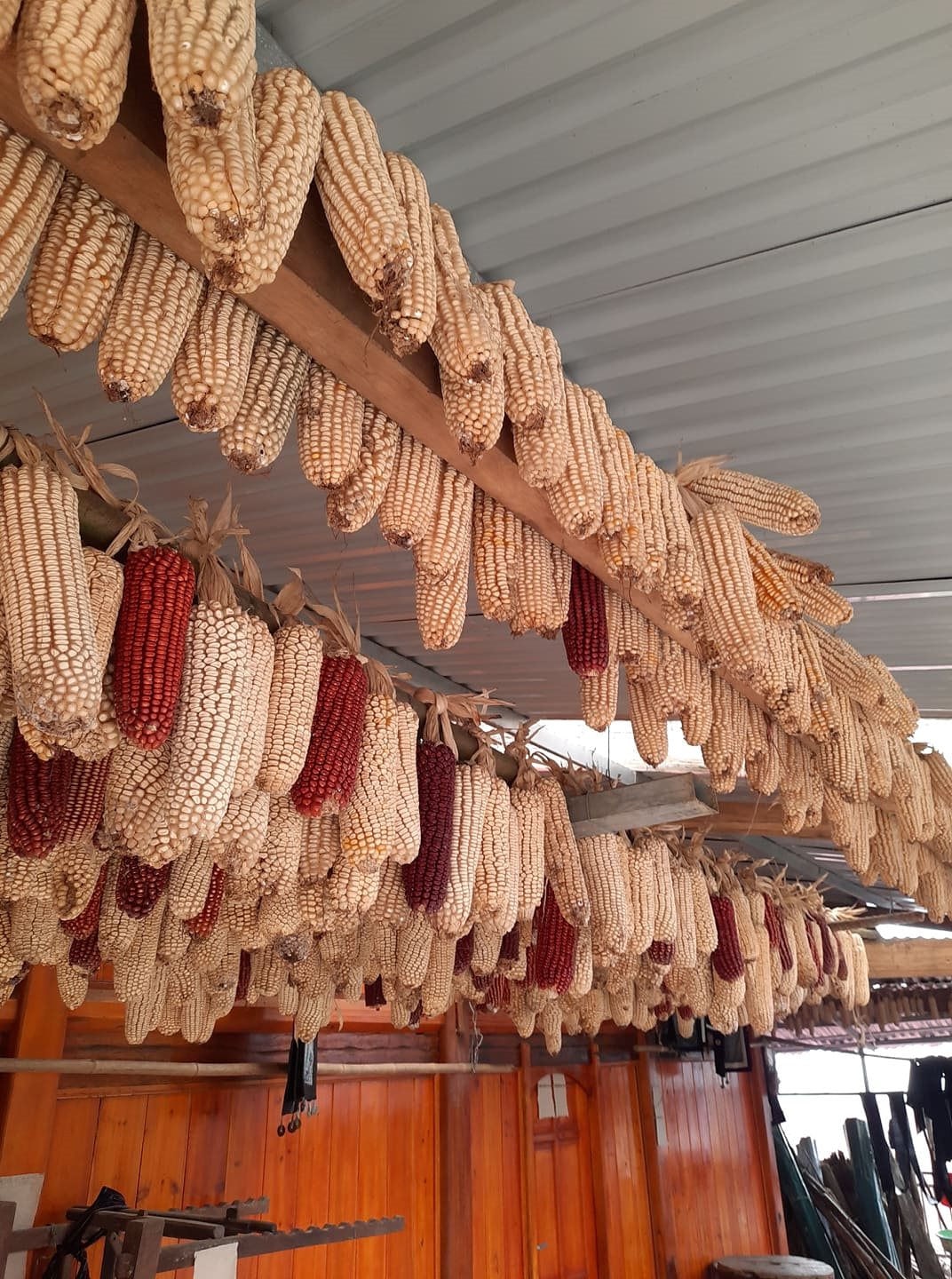 Nét đẹp nghề truyền thống của người Mông ở Cát Cát – Sapa 10