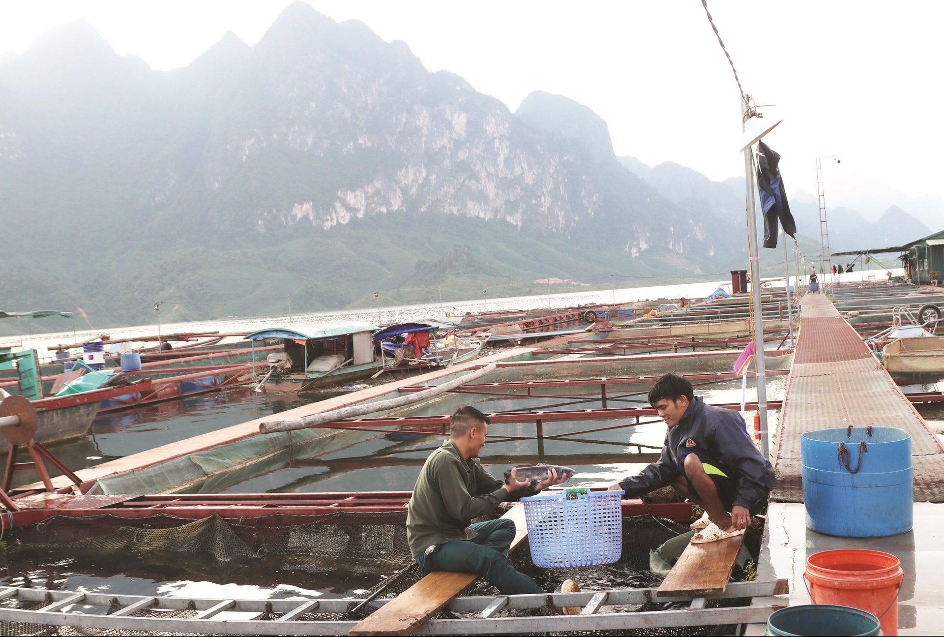 Mô hình kinh tế tập thể đã thúc đẩy phát triển kinh tế, tạo việc làm, tăng thu nhập, xóa đói, giảm nghèo  khu vực nông thôn, vùng đồng bào DTTS.