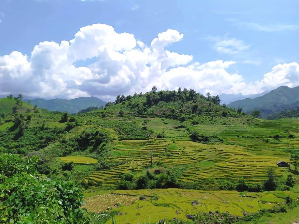 Ruộng bậc thang, một không gian kỳ vĩ ở Trạm Tấu.