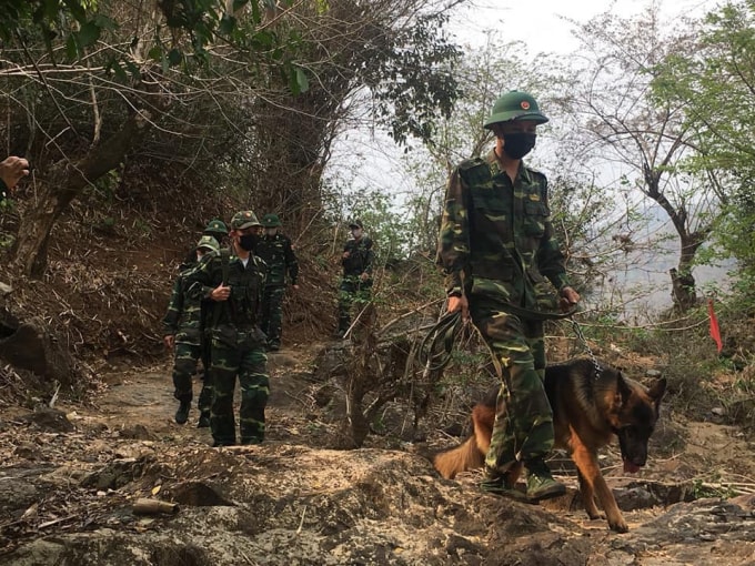 Các chiến sỹ biên phòng sử dụng chó nghiệp vụ để phát hiện, ngăn chặn đối tượng nhập cảnh trái phép