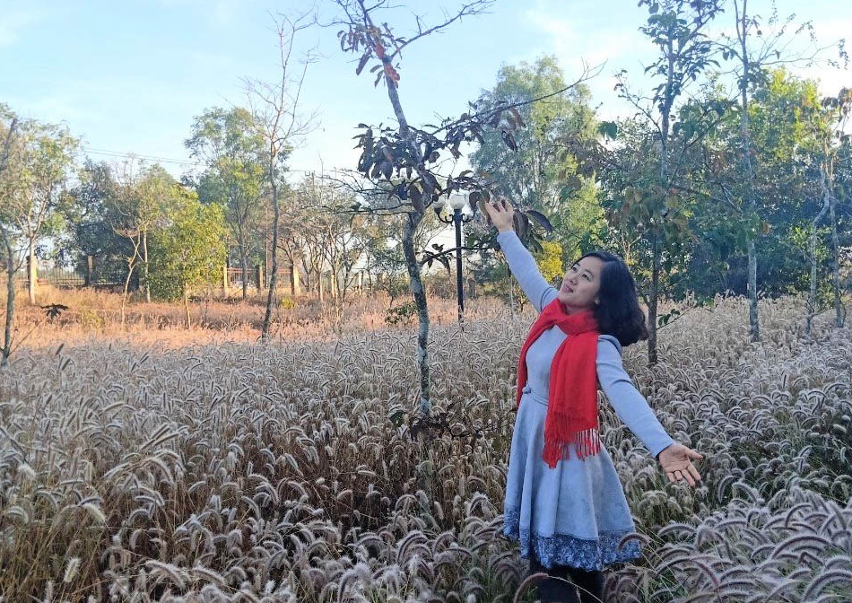 Đồi cỏ đuôi chồn - điểm du lịch hấp dẫn ở Gia Lai