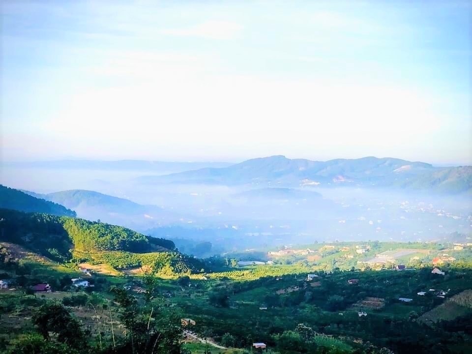 Những vùng chè của Bảo Lộc nếu không được qui hoạch bài bản sẽ bị băm nát