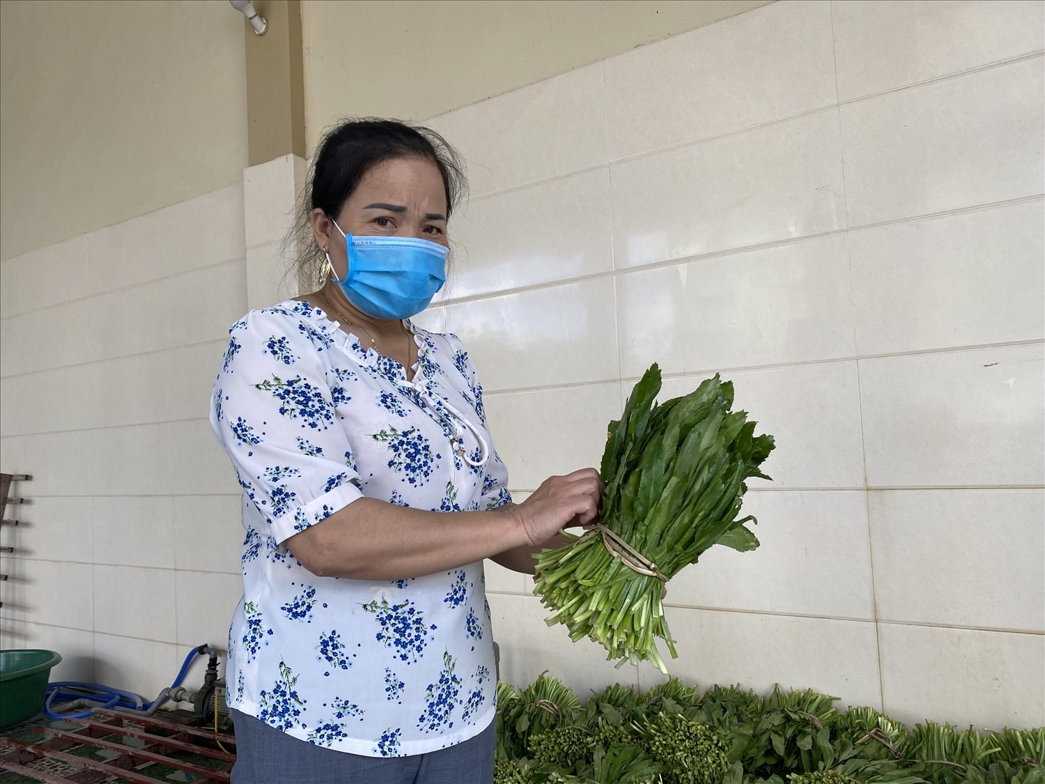 Giám đốc HTX rau mùi tàu Diễn Thái Phan Thị Nhung giới thiệu về sản phẩm rau xuất khẩu.