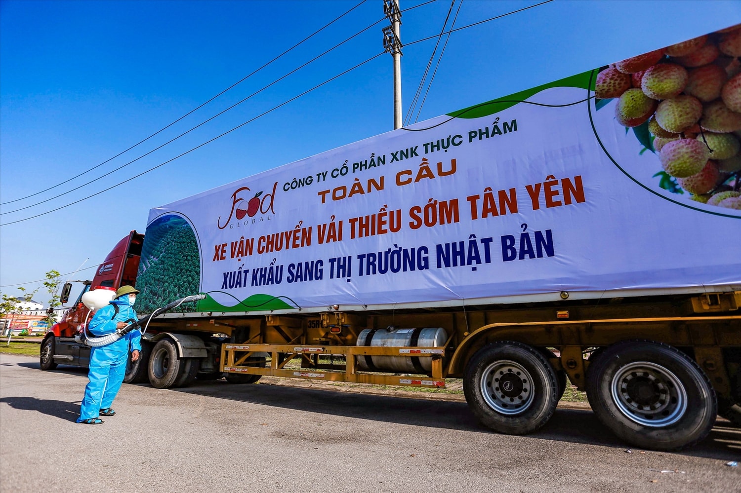 “Vải không Covid” vượt dịch lên đường đến thị trường Quốc tế “Vải không Covid” vượt dịch lên đường đến thị trường Quốc tế. Ảnh: Tư liệu