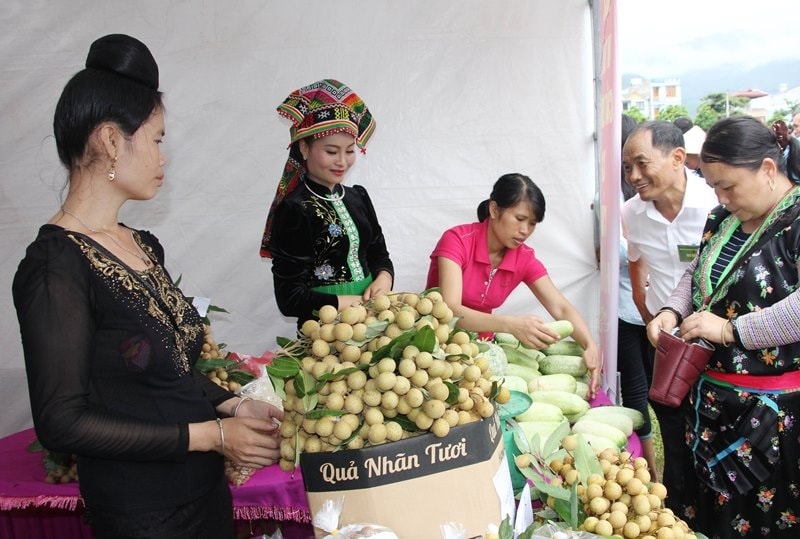 Các đơn vị chức năng của tỉnh Sơn La luôn hỗ trợ người dân trong việc xúc tiến thương mại tiêu thụ sản phẩm